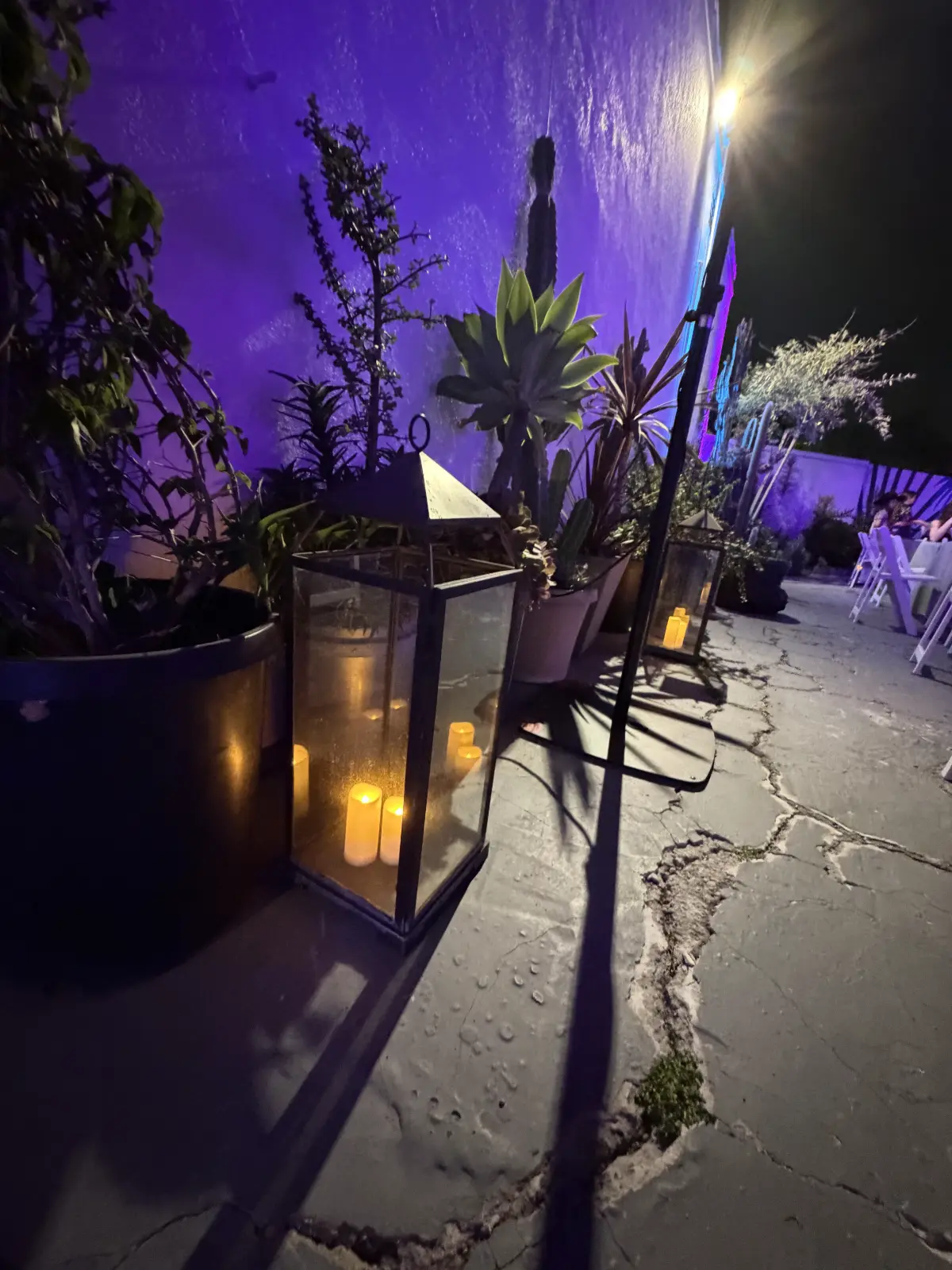 Outdoor glass lanterns illuminating a premium Bat Mitzvah patio in Los Angeles with purple ambient lighting and succulents.